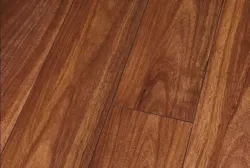 Canyon Koa Perfect Højglans