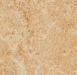 Marmoleum  Real - Shell