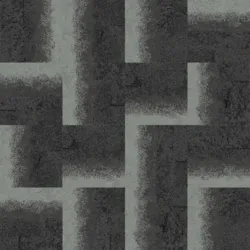 327111 Charcoal-lichen