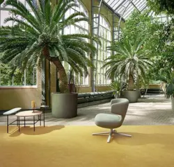 Marmoleum Fresco - Sinappi