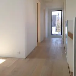 Valkoinen mattalakka