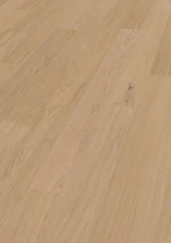 Hywood-lankku, Oak Matteo