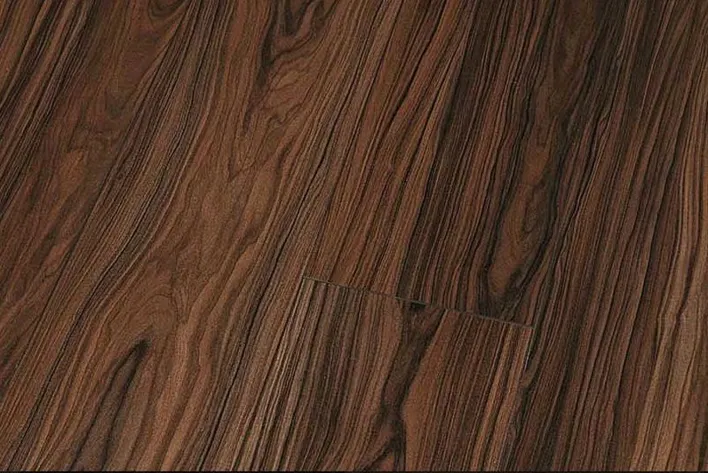 Canyon Moradillo Korkeakiilto