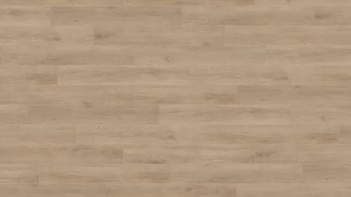 Haro laminaattilattia - lankkulattia, Tammi Veneto crema