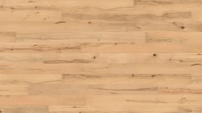 Haro lankkulattia - höyrytetty pyökki Universal nD