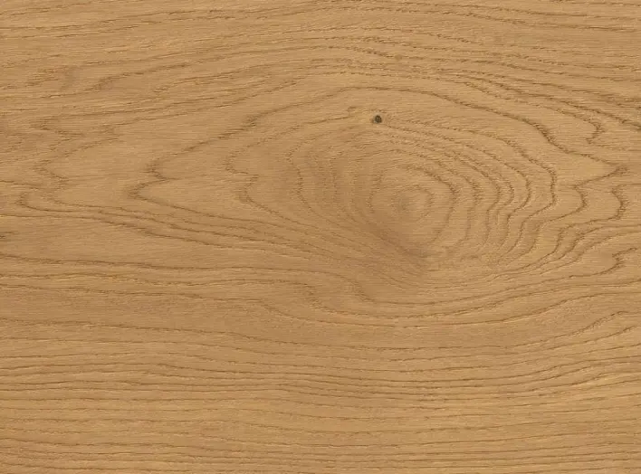 Haro plankegulv - Tammi Markant harjattu nD