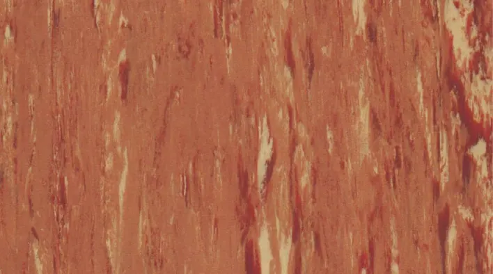 1055 Apricot