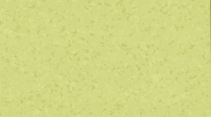 6027 Accacia