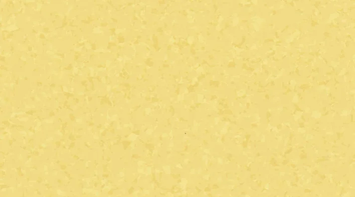 6032 Sunshine