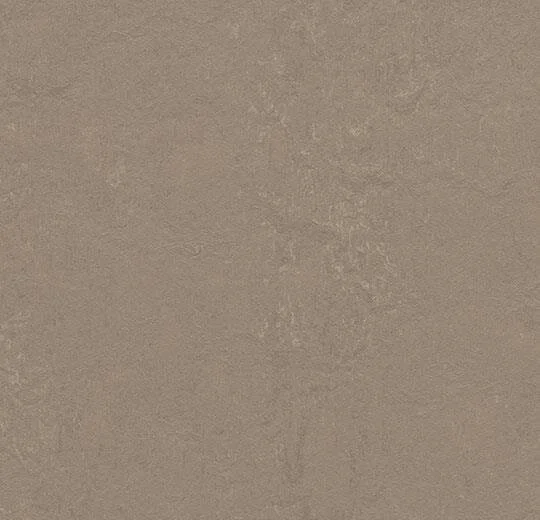 Marmoleum  Concrete - Silt