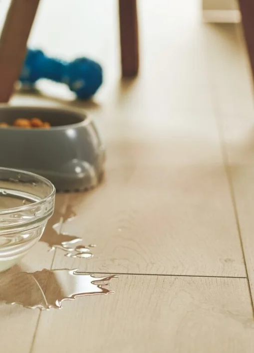 Pergo Visby Sensation - Coastal Oak, Lankku - KAMPANJA