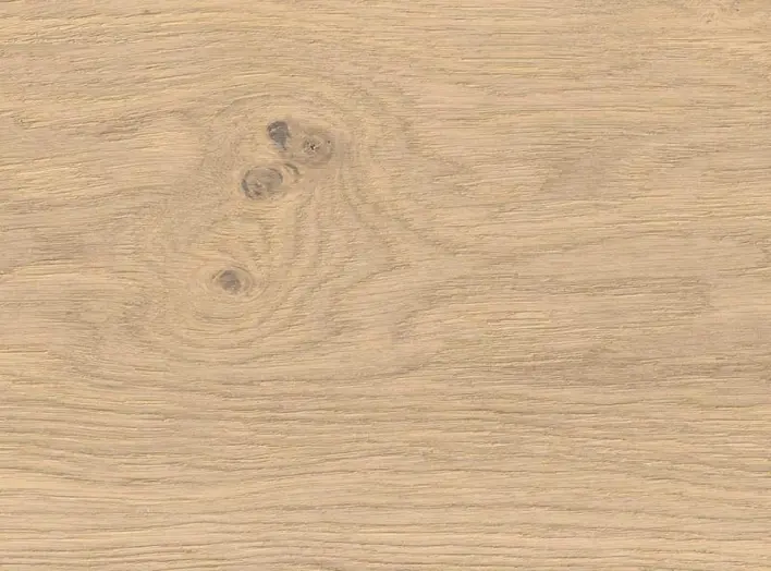 Kalanruoto suurikokoinen Prestige - Tammi invisible Selkeästi harjattu nD