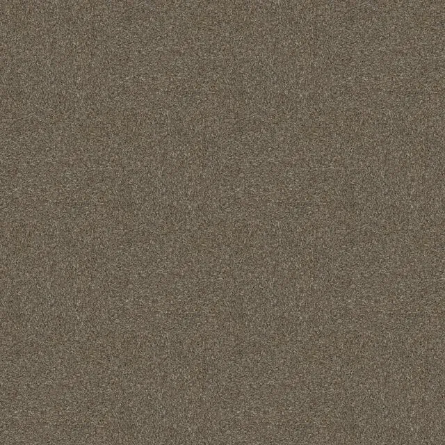 Nutmeg (SD)