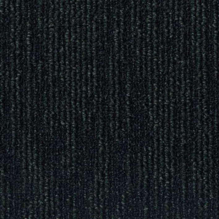 9031