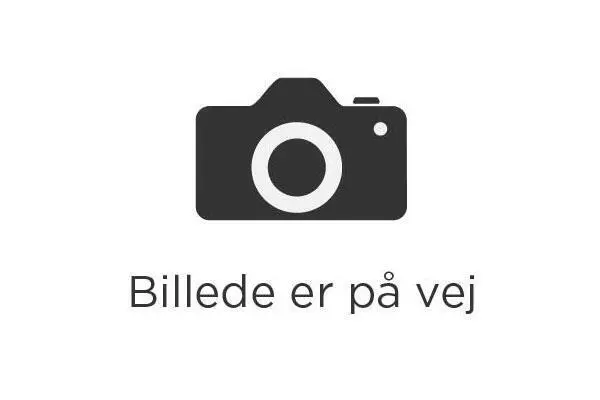 BIGG BUGG Valurautainen grilliritilä