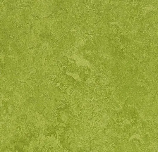 Marmoleum Fresco - Green
