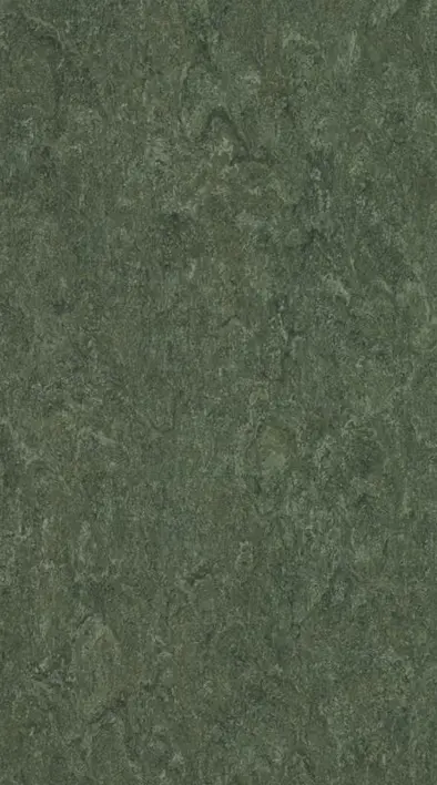 DLW Marmorette linoleumi, Jungle