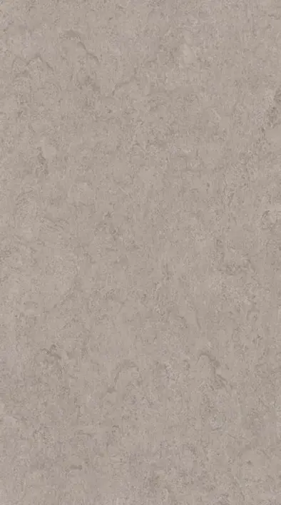 DLW Marmorette linoleumi, Shiitake-sieni