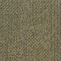 2904