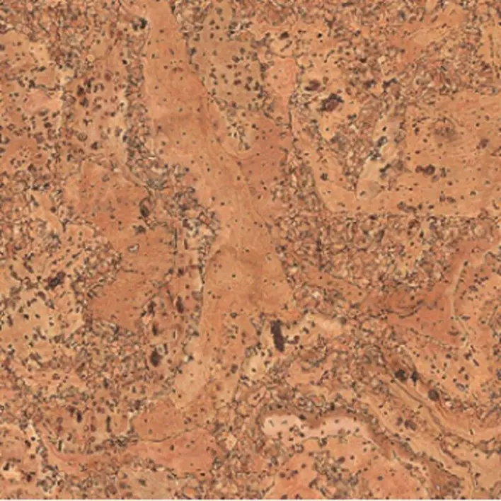 Ziro KorkLife 10 Korkkilattia - Como natur käsittelemätön