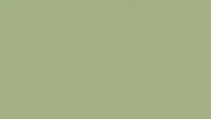 Tarkett LinoWall Olive