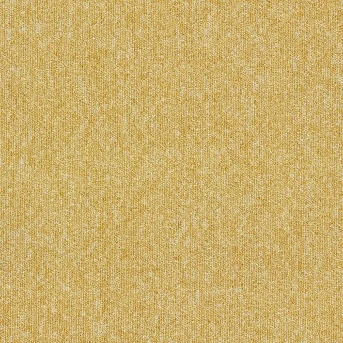 Canary