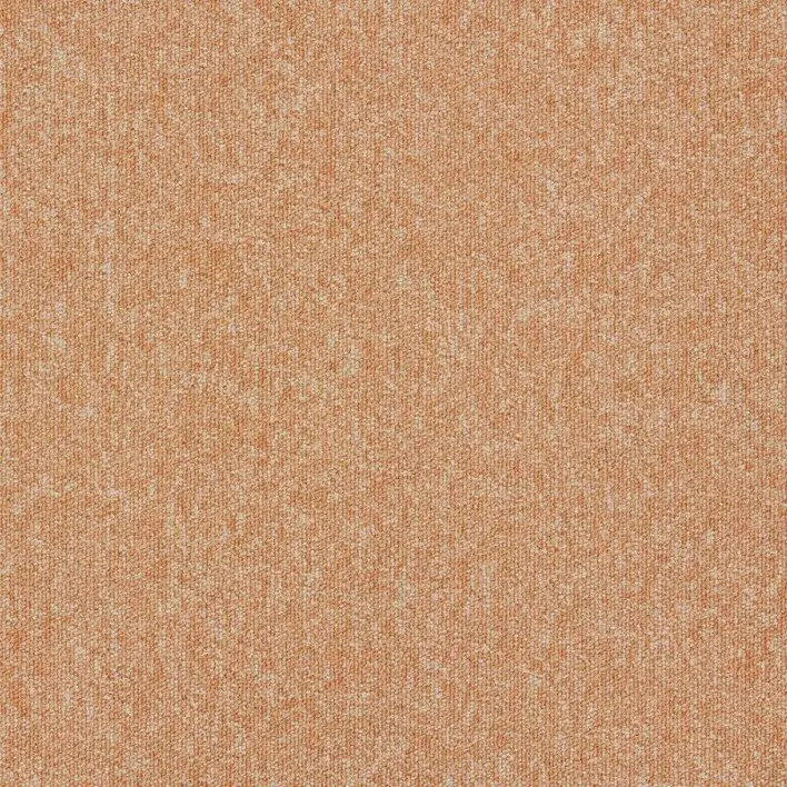 Cantaloupe
