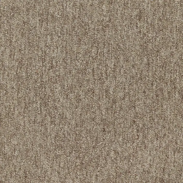 Bark
