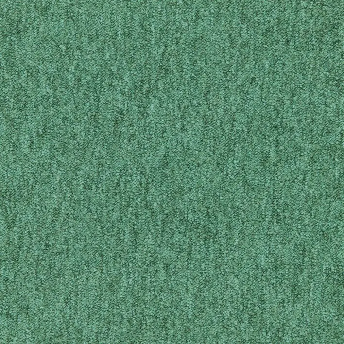 Forrest