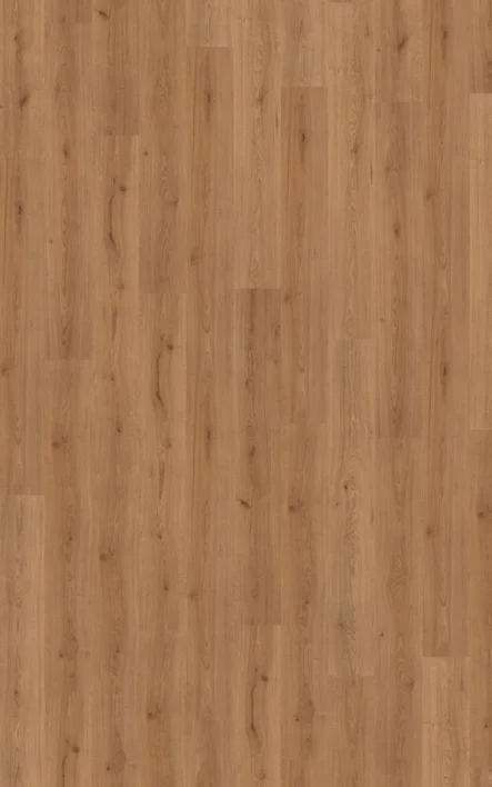 Kronotex Basic Trendline - Tammi luonnollinen