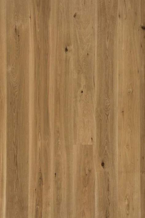 Augsburg Tammi Lankku