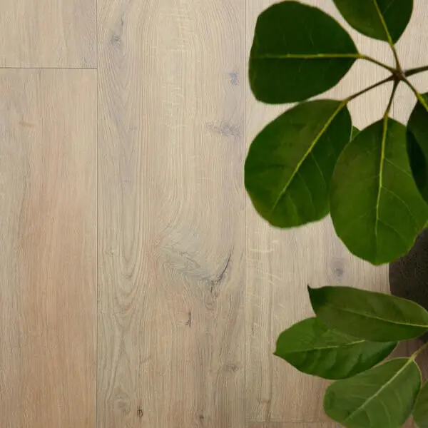 BerryAlloc Ocean+ 12 XL - Gyant Warm Natural