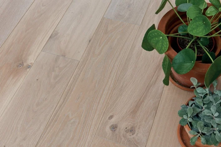 Panaget Ranskalainen tammi lankkulattia - Diva 184 Zenitude Tufeau