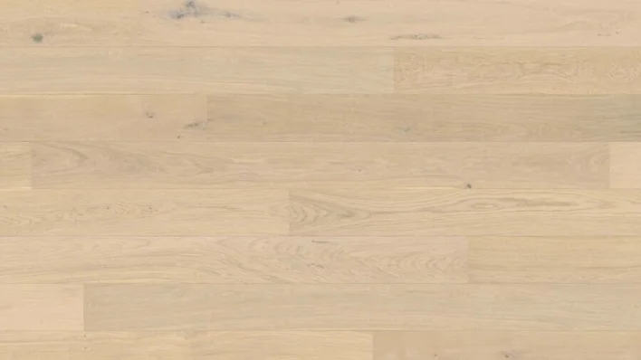 Haro plankegulv - Tammi vaaleanvalkoinen Universal harjattu nD