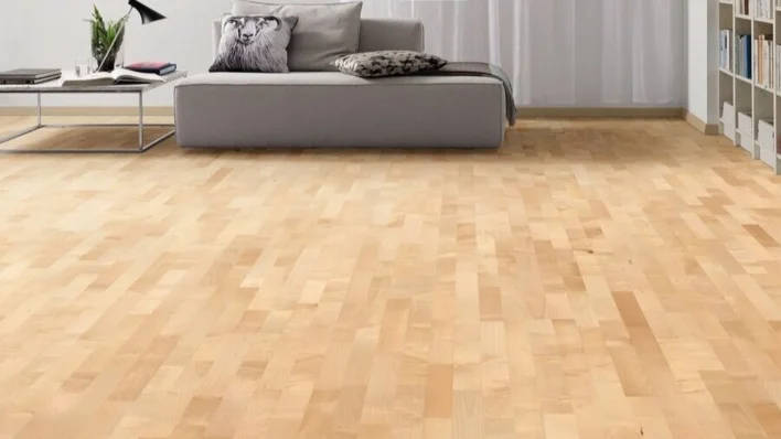 3-sauvainen Eurooppalainen vaahtera Favorit nD