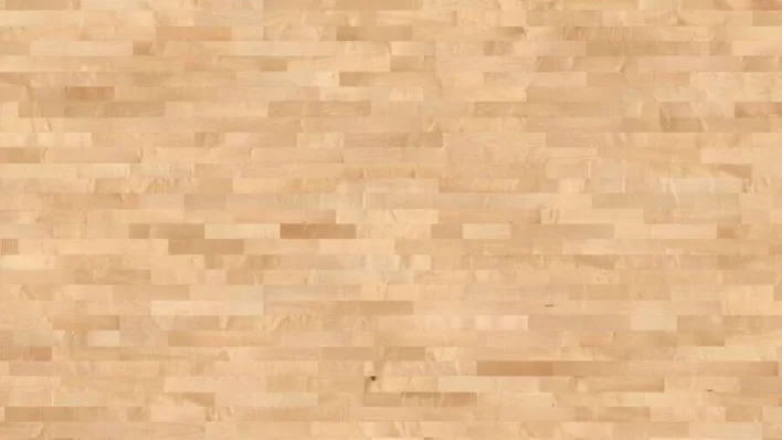 3-sauvainen Eurooppalainen vaahtera Favorit nD