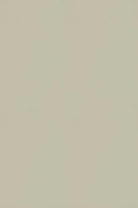 181472 Valkoinen sammal