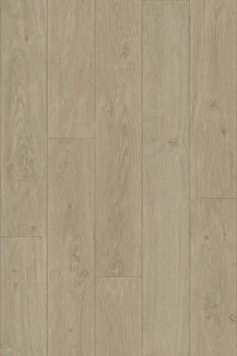 Elegant oak
