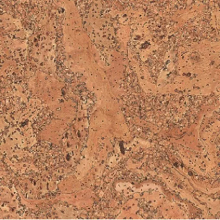 Ziro Kork Plus Korkkilattia - Salsa Natur