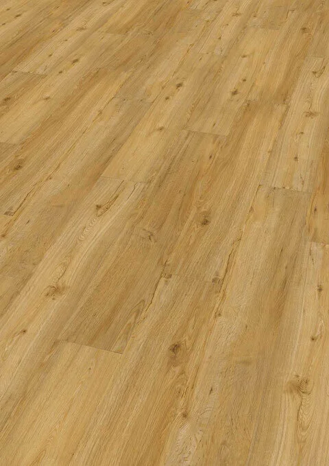 Ter Hürne, Friends Oak Conny, lankku