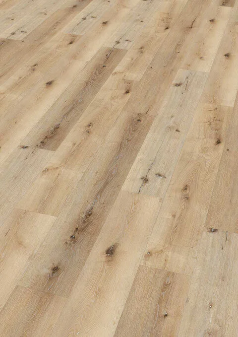 Ter Hürne, HDF - Friends Oak Carl, lauta