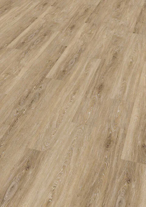 Ter Hürne, HDF - Friends Oak Vincent, lauta