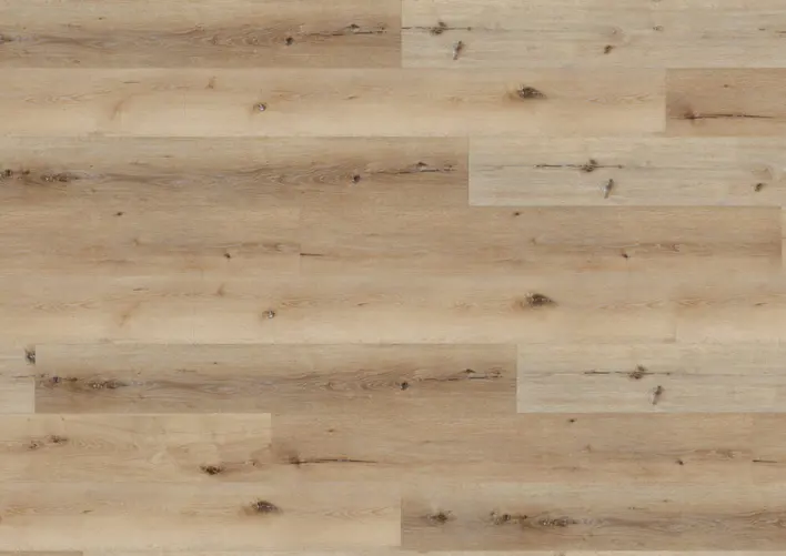 Ter Hürne, Rigid - Friends Oak Carl, lankku