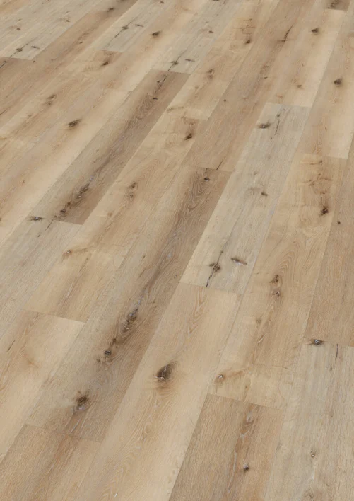 Ter Hürne, Rigid - Friends Oak Carl, lankku