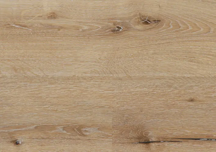 Ter Hürne, Rigid - Friends Oak Carl, lankku