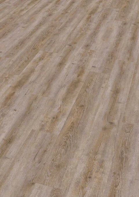 Ter Hürne, Rigid - Friends Pine Selma, lauta