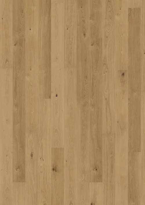 Kährs Lux-lauta, Tammi Sun