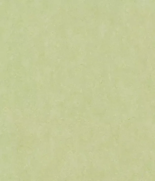 Ziro LinoPlus linoleumilaatta - Primavera