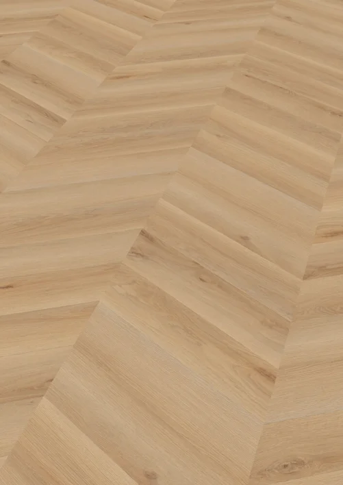 Chevron Edition Pro, Oak Rotterdam