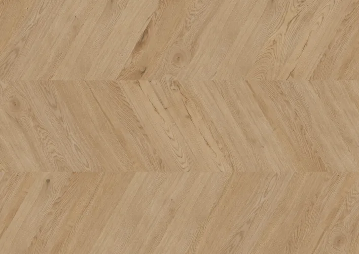 Chevron Edition Perform, Tammi Dublin